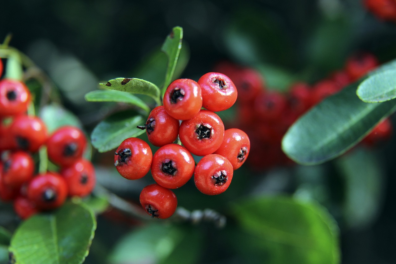 主优化词-湖北队力挫强敌赢得信心